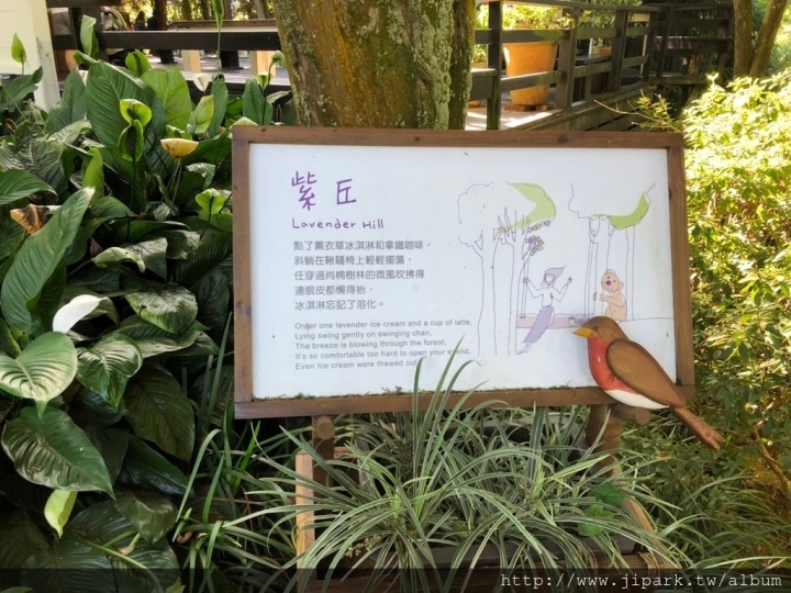 薰衣草森林