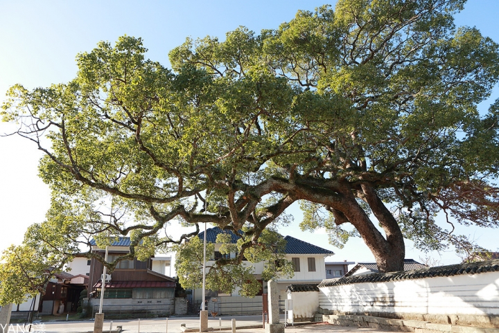 【山口】防府天滿宮、毛利氏庭園散策賞紅葉