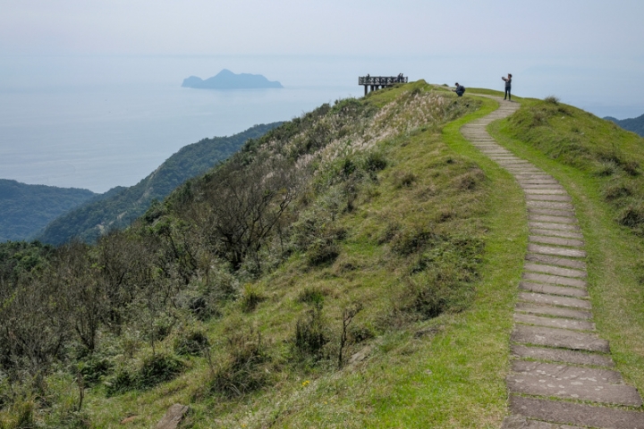 [亂拍照] 桃源谷 草嶺線步道 芒草季 (新北、宜蘭景點)