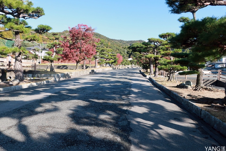 【山口】防府天滿宮、毛利氏庭園散策賞紅葉