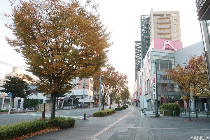 【山口】防府天滿宮、毛利氏庭園散策賞紅葉