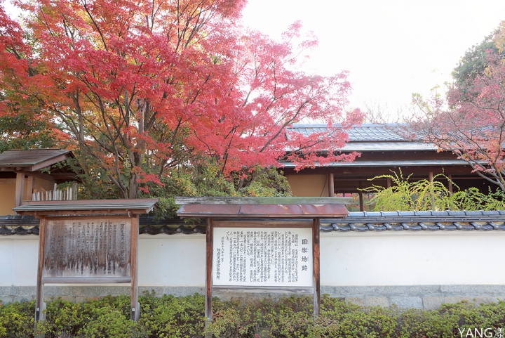 【山口】防府天滿宮、毛利氏庭園散策賞紅葉