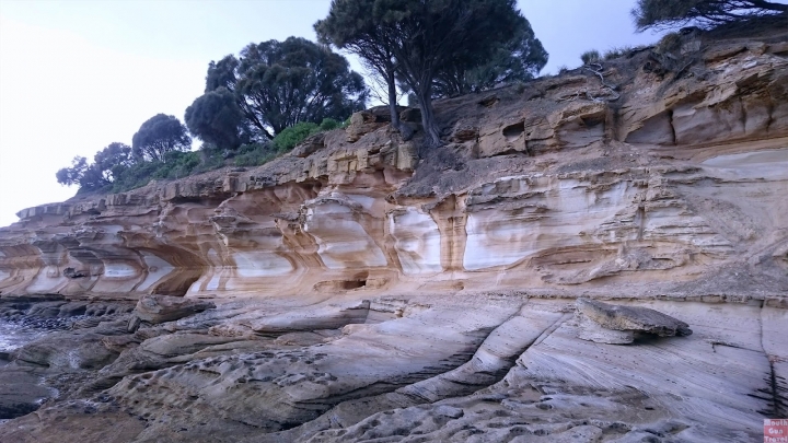 【澳洲●塔斯】瑪麗亞島Maria island 兩天一夜彩虹峭壁Painted Cliffs D2