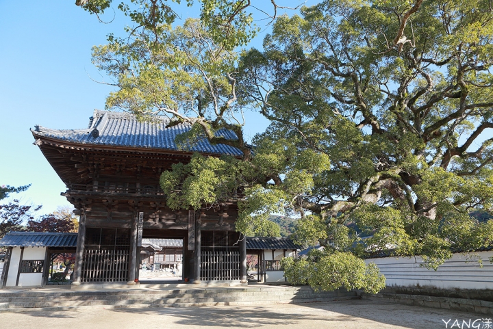 【山口】防府天滿宮、毛利氏庭園散策賞紅葉