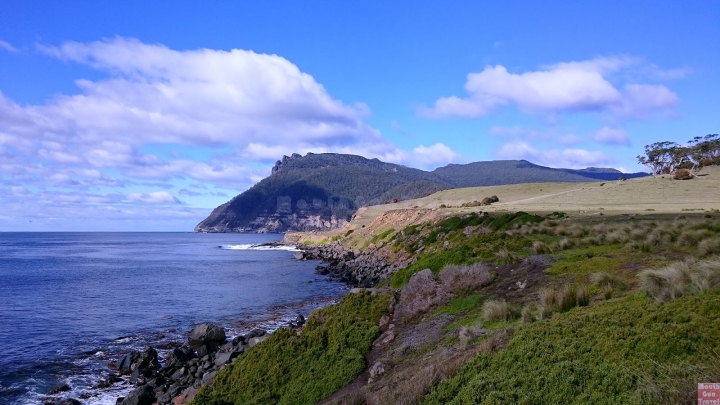 【澳洲●塔斯】瑪麗亞島Maria island 兩天一夜爬上第二高山俯瞰整座島 D1 上