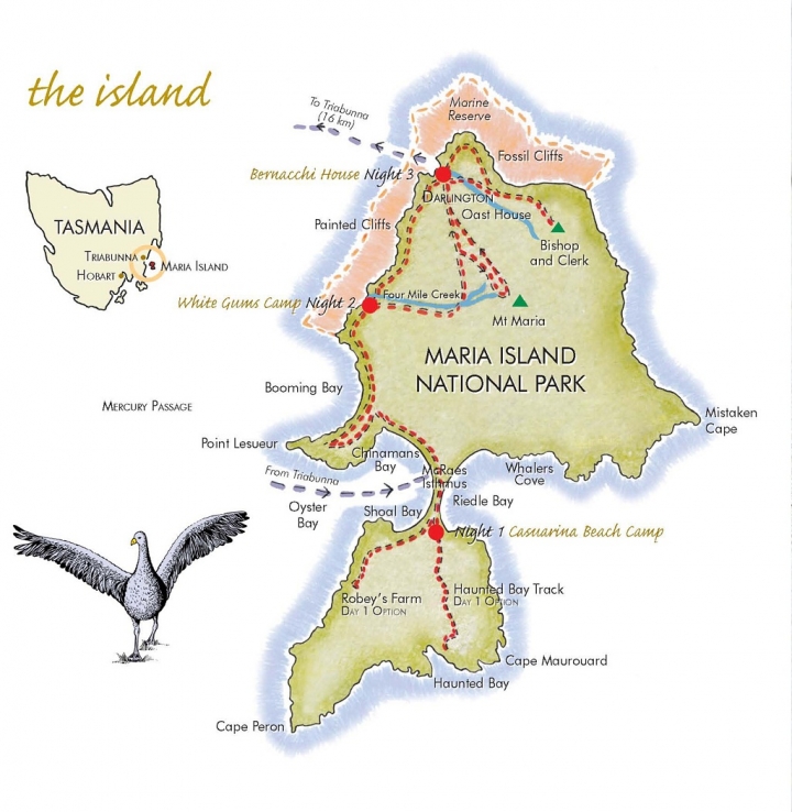 【澳洲●塔斯】瑪麗亞島Maria island 兩天一夜爬上第二高山俯瞰整座島 D1 上