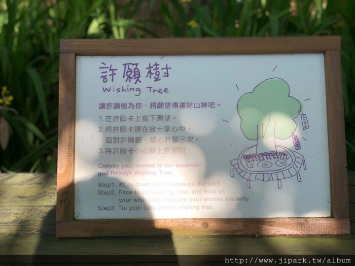 薰衣草森林