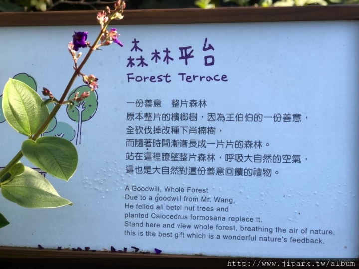 薰衣草森林