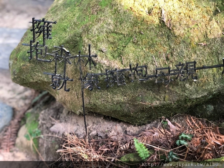 薰衣草森林