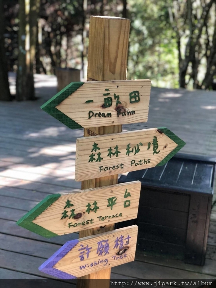 薰衣草森林