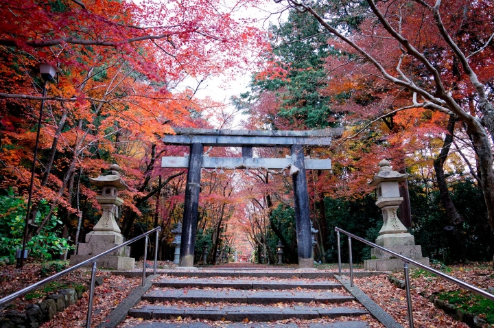 [A57]京都10日蜜月自由行(圖多)