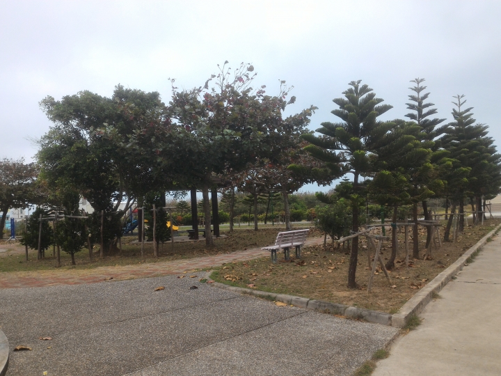 公園落葉飄呀飄，風兒吹呀吹，大葉欖仁樹與雞蛋花落葉掉不停，從秋吹到夏，落葉飄入住家，天天掃不停。