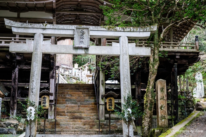 [A57]京都10日蜜月自由行(圖多)