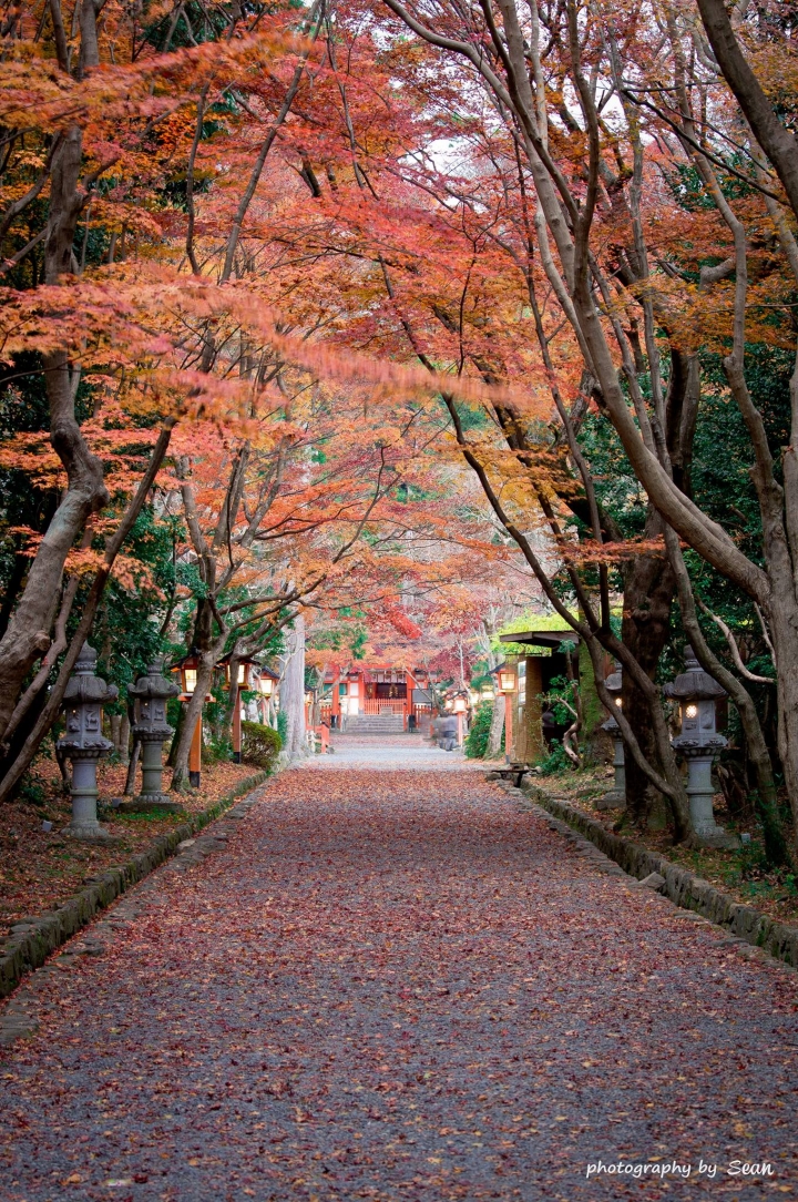 [A57]京都10日蜜月自由行(圖多)