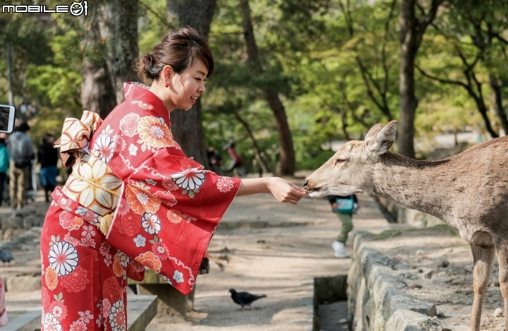 2018 年終回顧 SONY A7R3 [ 少部分富士及NIKON ]圖多