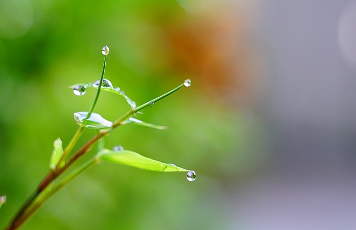 簡易開箱 Tamron 28-75mm f/2.8 (A036)  心得分享