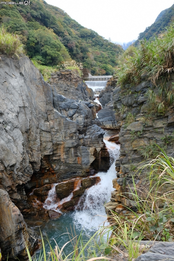 【野生天體營】2018 - 塔羅灣溪野溪露宿。溯溪野營溫泉耶誕營火趴一次滿足