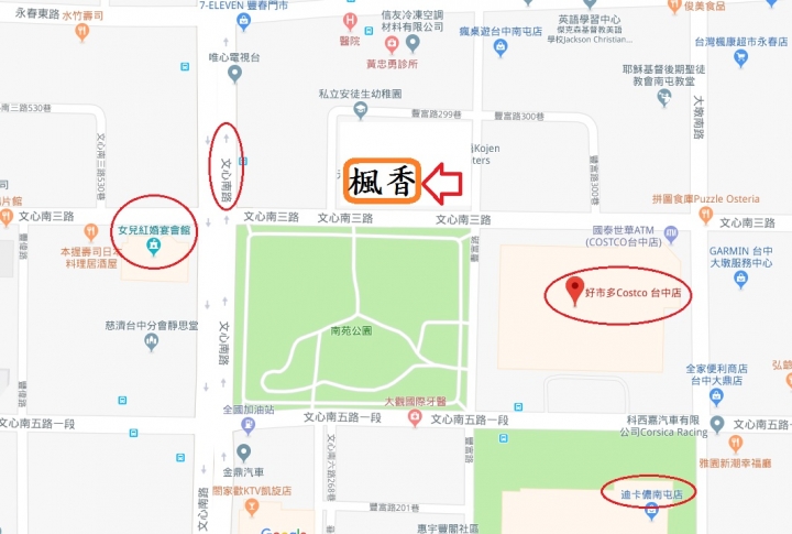 平地楓香轉色 ( 台中南屯好事多附近)