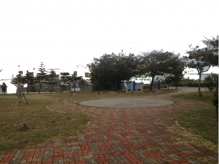 公園落葉飄呀飄，風兒吹呀吹，大葉欖仁樹與雞蛋花落葉掉不停，從秋吹到夏，落葉飄入住家，天天掃不停。