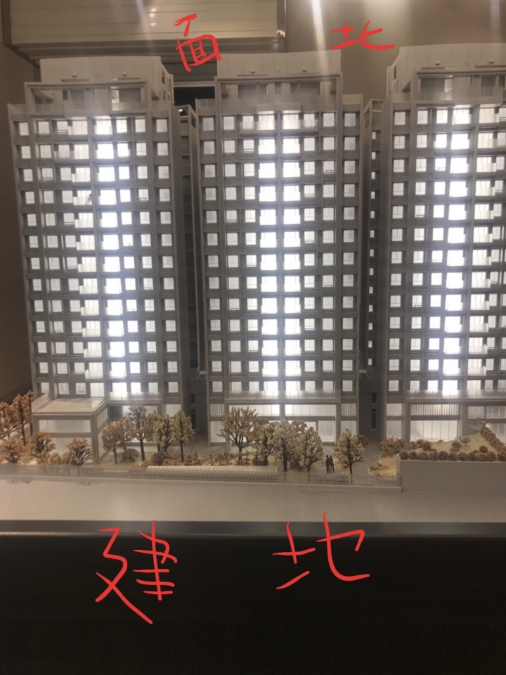 新埔朝南，朝北，的選擇