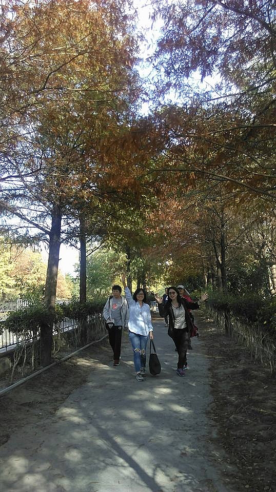 靉靆雲彰三日遊