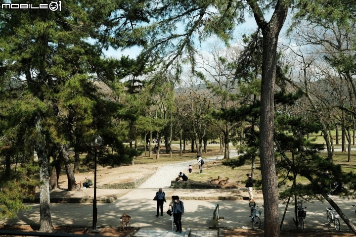 2018 年終回顧 SONY A7R3 [ 少部分富士及NIKON ]圖多