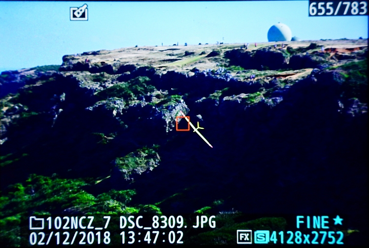 D850&Z7在墾丁龍磐公園追拍無動力滑翔機比較