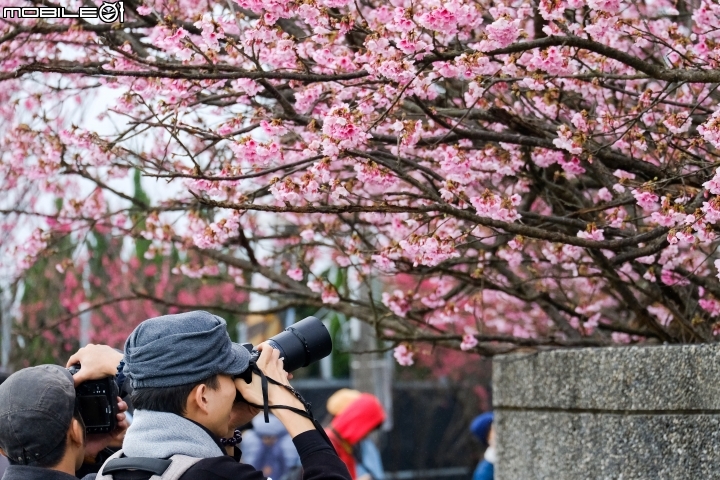 2018 年終回顧 SONY A7R3 [ 少部分富士及NIKON ]圖多