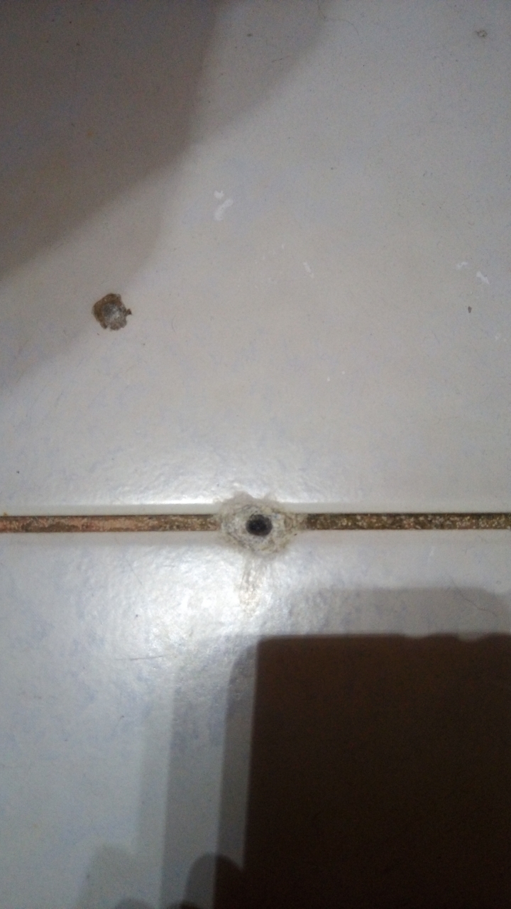 地磚滲出黏液