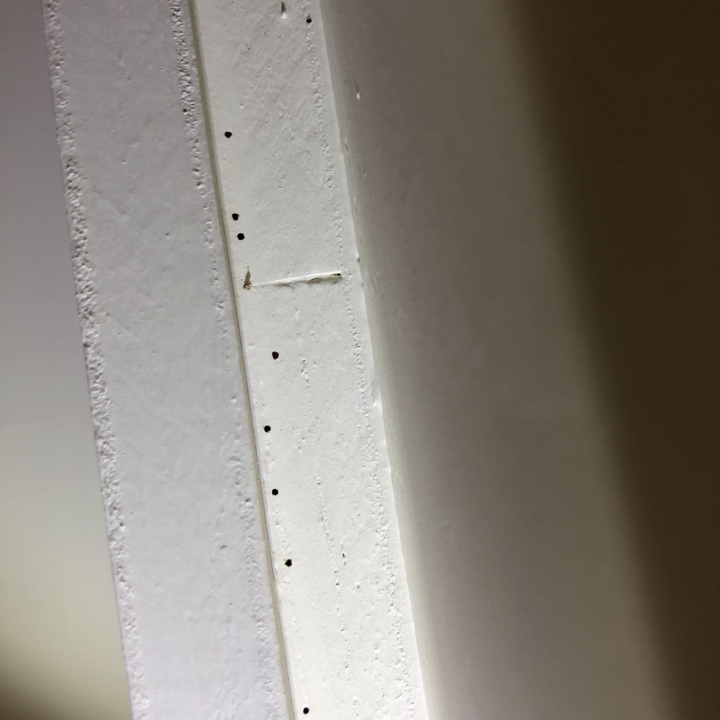 家中幾處出現不明木屑