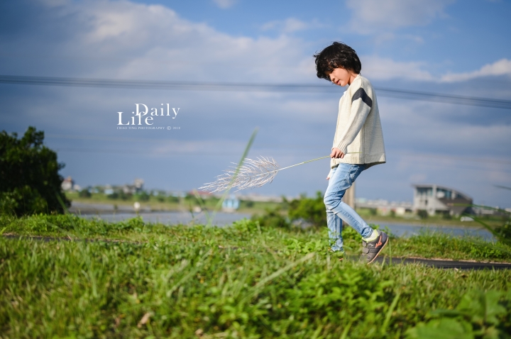【NIKON Z6】楓之武陵（同場加映Z50/F1.8S日常隨拍）