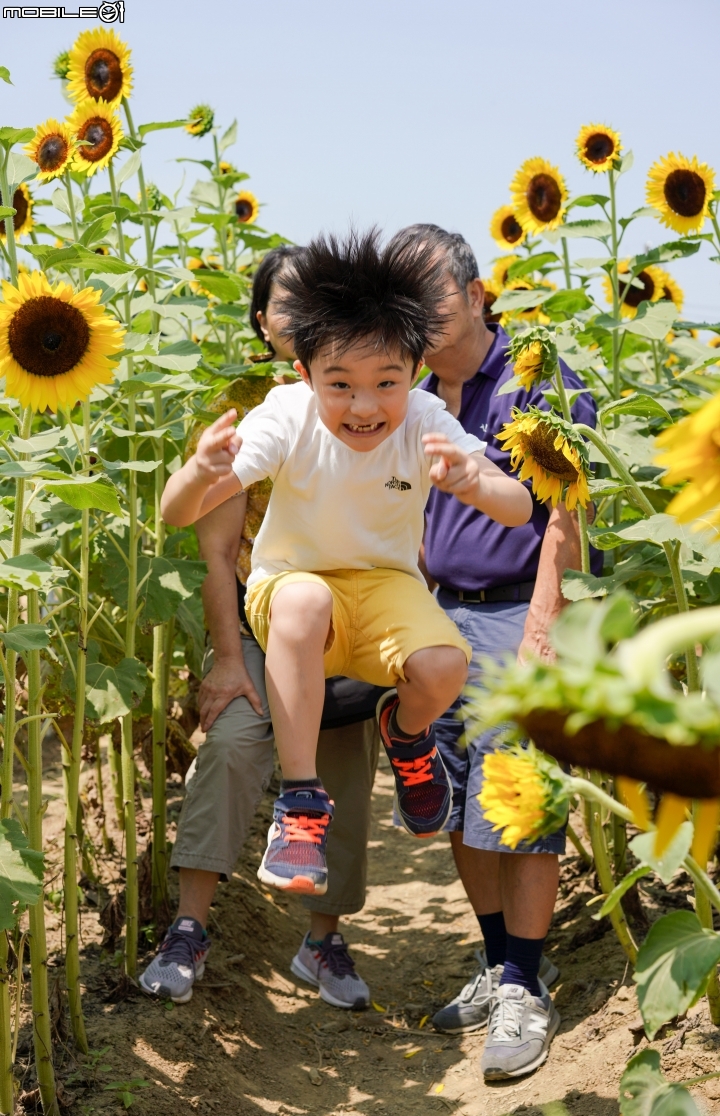 2018 年終回顧 SONY A7R3 [ 少部分富士及NIKON ]圖多