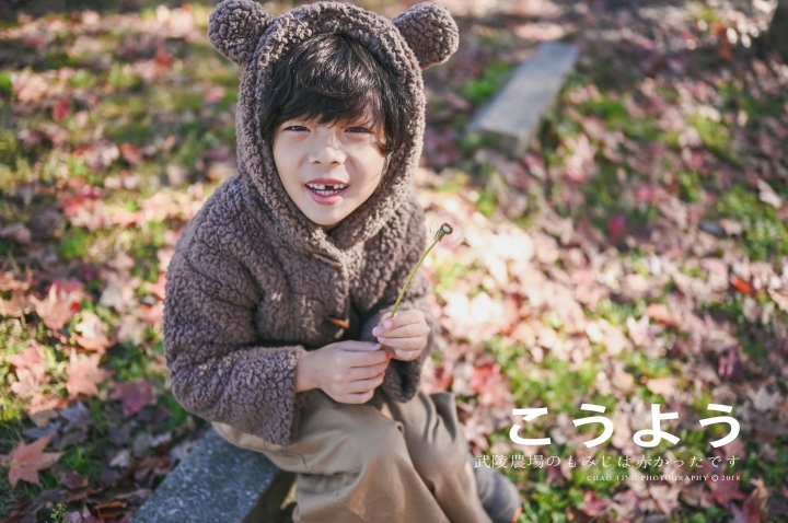【NIKON Z6】楓之武陵（同場加映Z50/F1.8S日常隨拍）