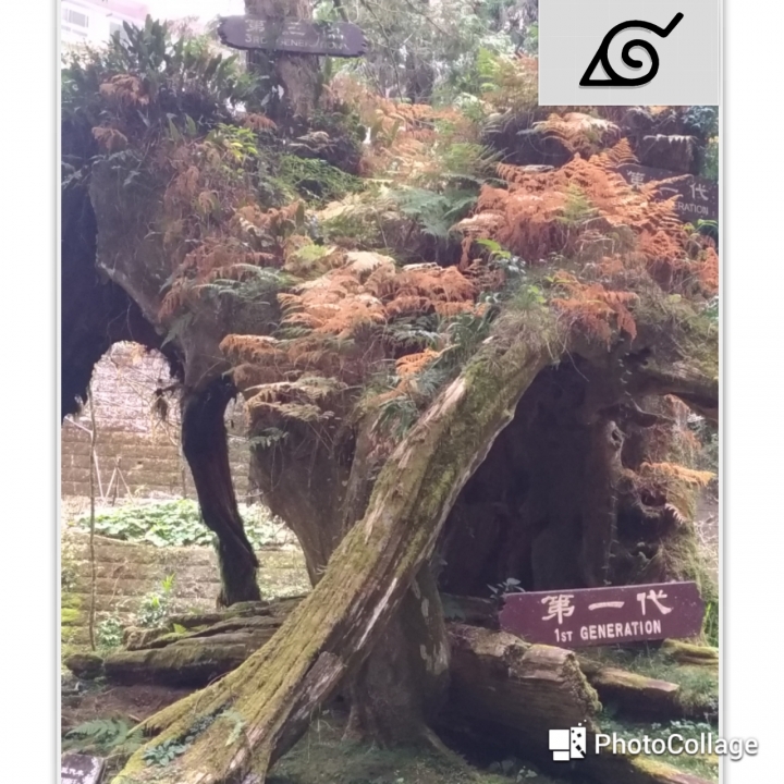 Picanto與我的台灣環島之旅(共十天九夜文圖爆多)