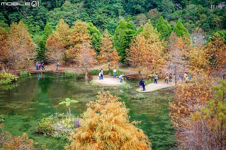山羌。親子。充氣帳，在哈洛客聽見野地的聲音