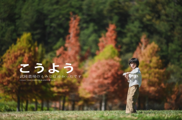 【NIKON Z6】楓之武陵（同場加映Z50/F1.8S日常隨拍）