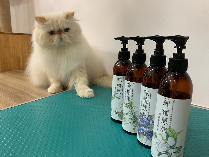 點我看大圖 【分享】純天然的貓專用洗劑 - AMOUR GARDEN愛慕園