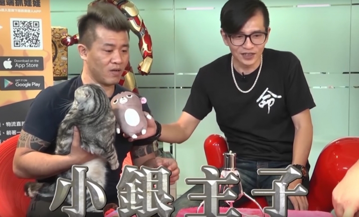 問！草爺影片中抱的貓，也太可愛了吧！