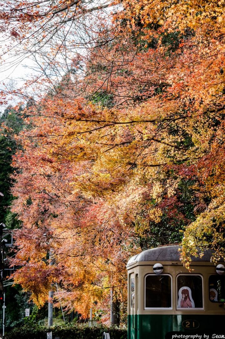 [A57]京都10日蜜月自由行(圖多)