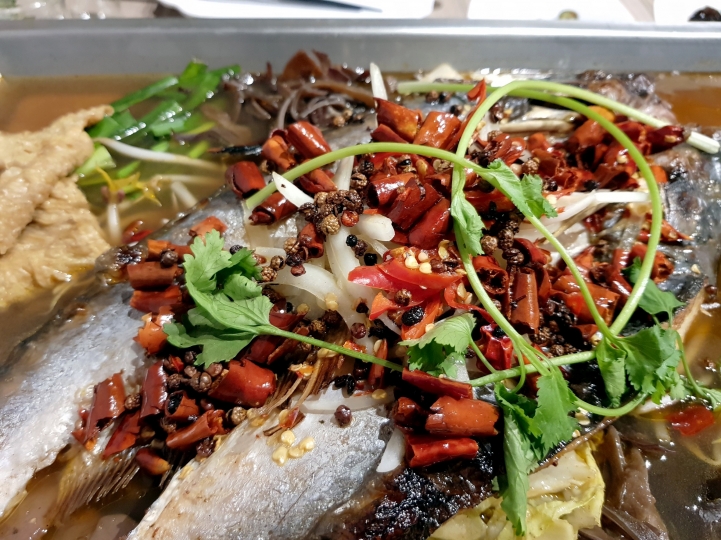 【台南麻辣鍋】蜀山四川烤魚｜打卡抽餐點通通有獎｜南台唯一正宗四川烤魚｜客製化麻辣怕辣也愛｜海陸食材香麻入鍋