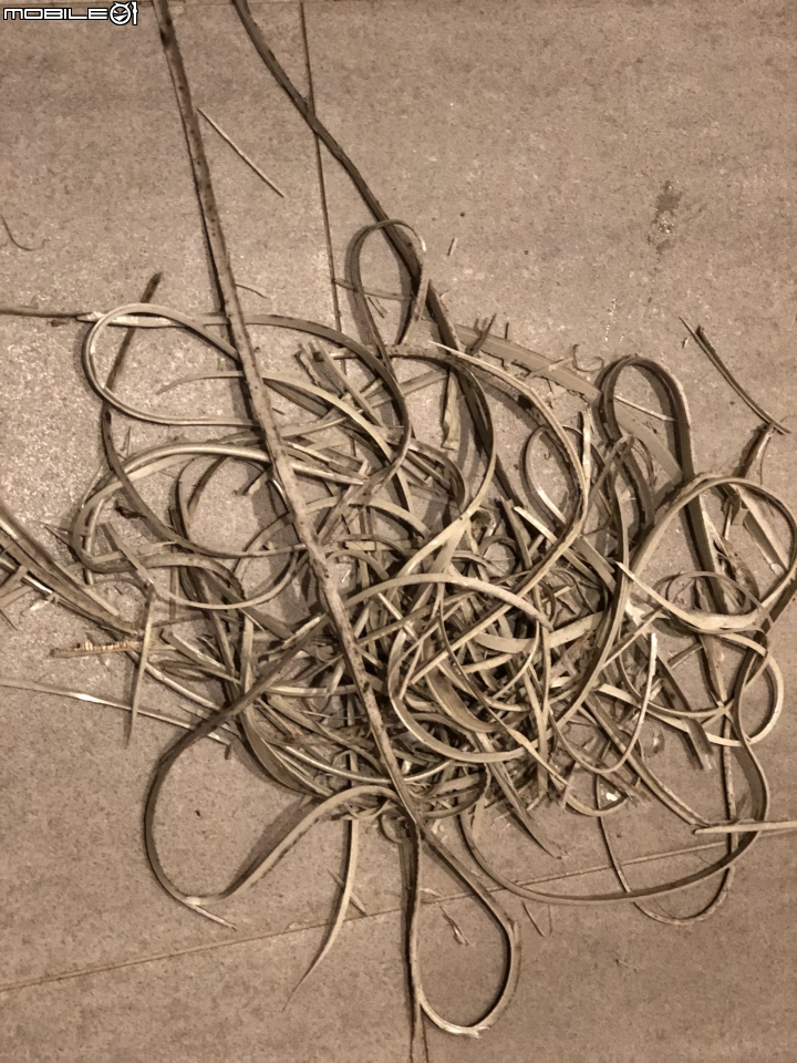 黑科技防霉膠 DIY開箱分享~