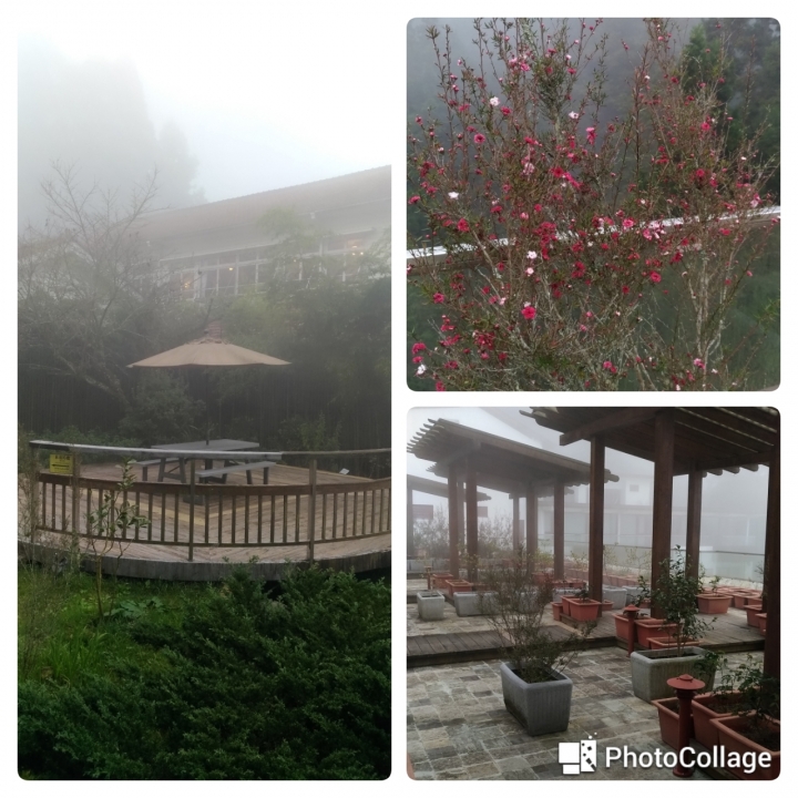 Picanto與我的台灣環島之旅(共十天九夜文圖爆多)