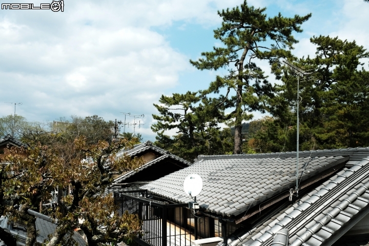 2018 年終回顧 SONY A7R3 [ 少部分富士及NIKON ]圖多