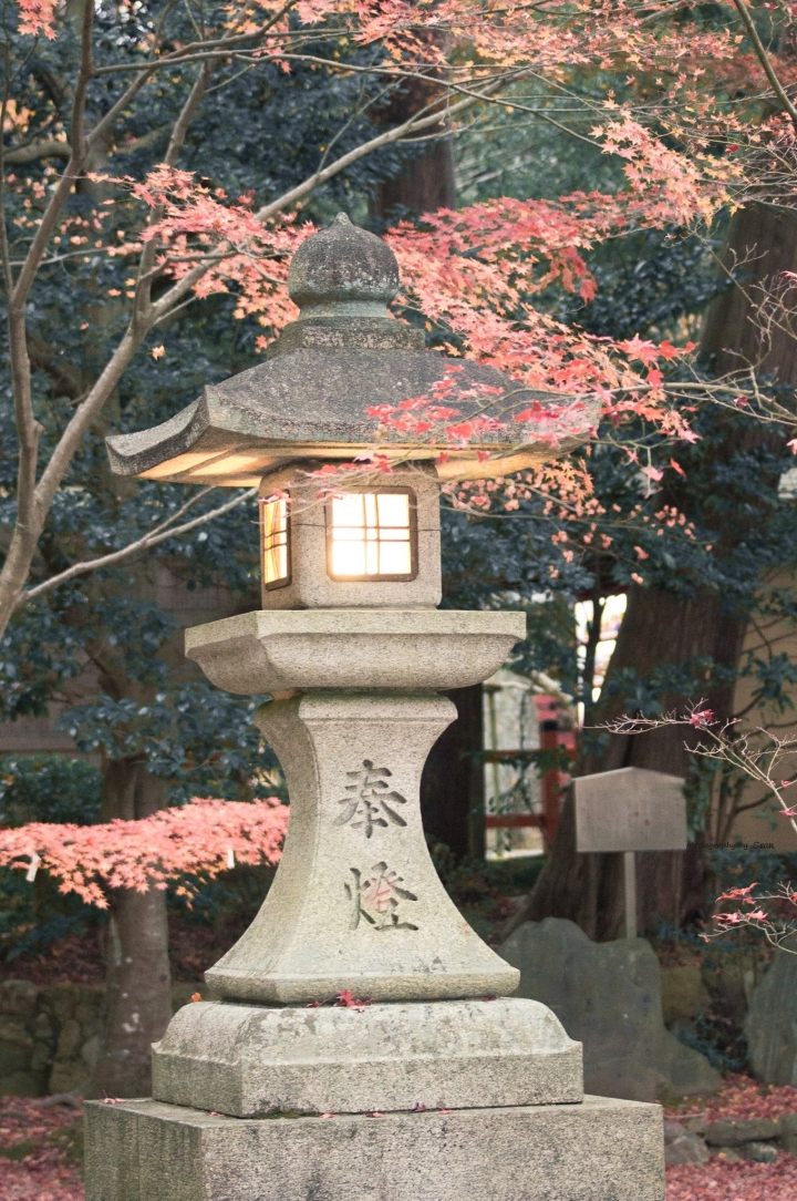 [A57]京都10日蜜月自由行(圖多)