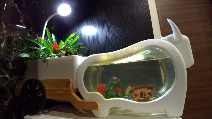魚菜共生系統
