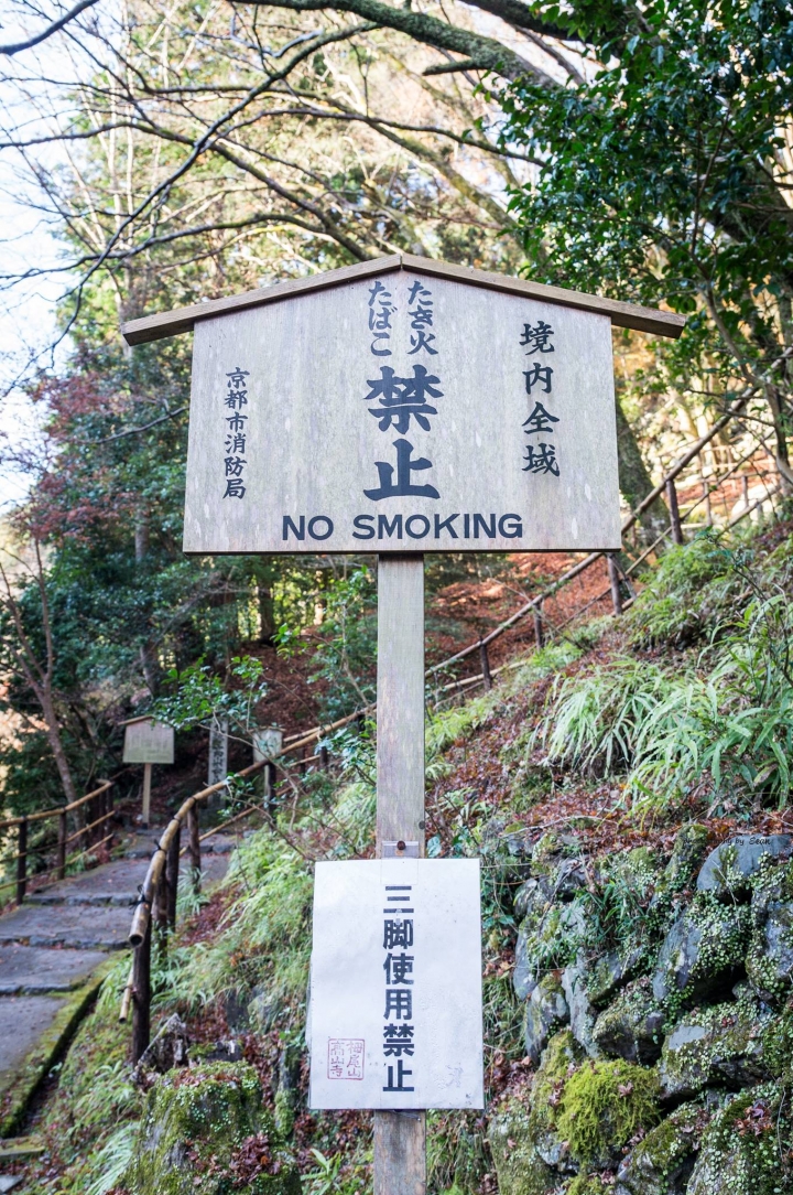 [A57]京都10日蜜月自由行(圖多)
