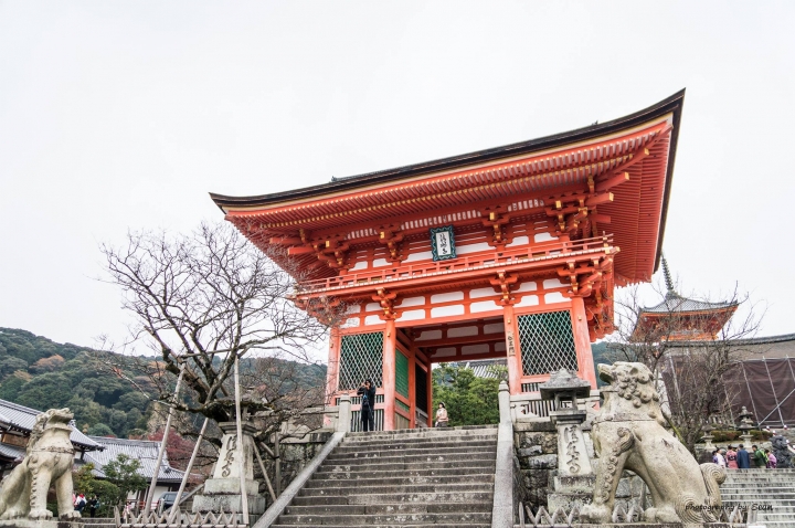 [A57]京都10日蜜月自由行(圖多)
