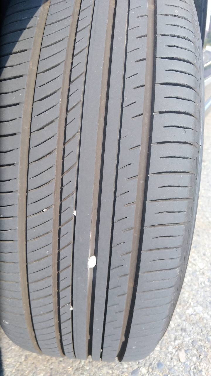 12/22更新 YOKOHAMA全新ADVAN dB V552 簡單報告