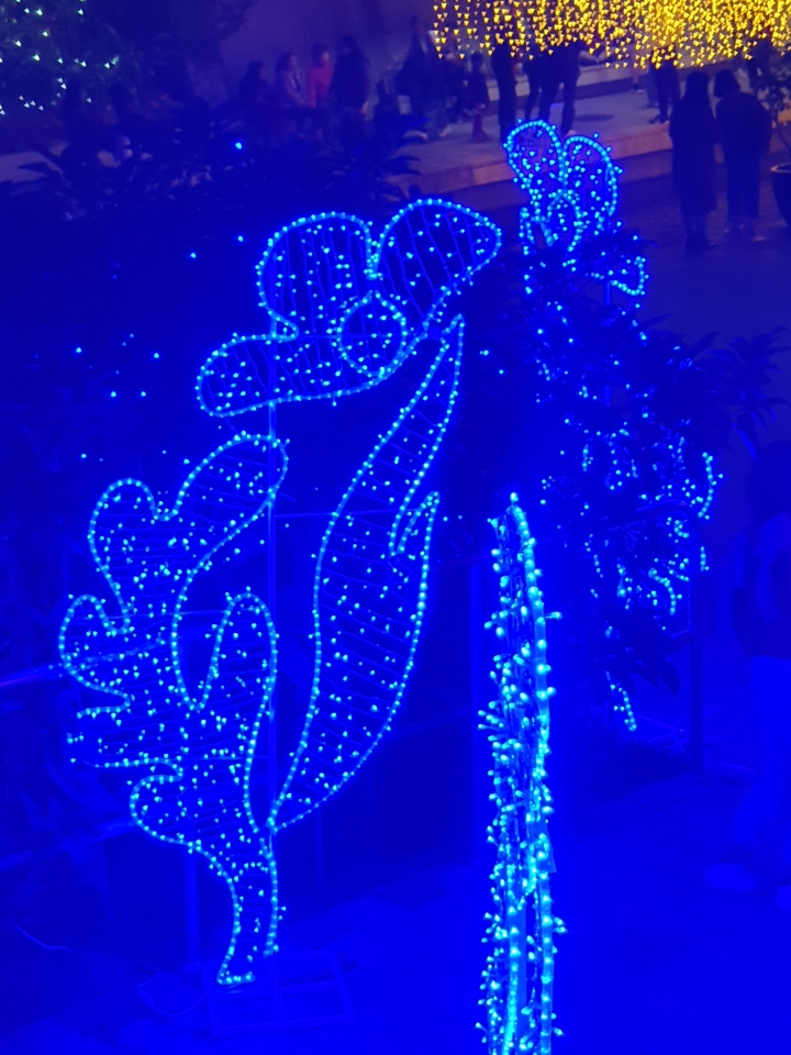 NOTE9 關於今天在台中柳川夜拍