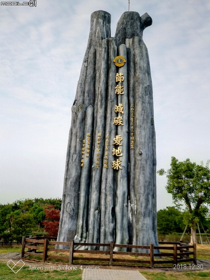 紅色台灣五葉松 嘉義市東區香湖公園獅子林 12/30